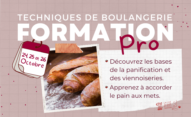 Formation Techniques de Boulangerie Cité du Goût 31